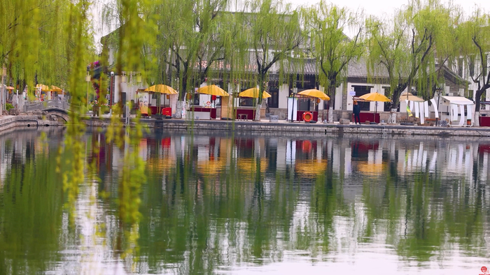 人间最美四月天 遇见泉城春色