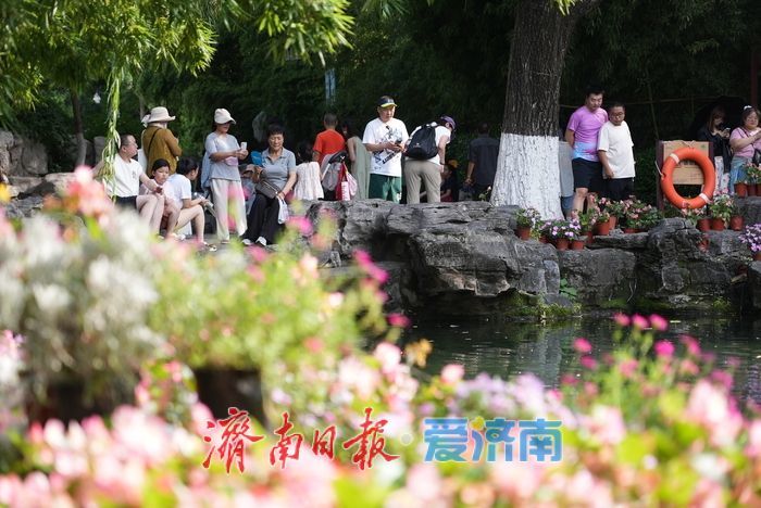 暑期赏泉正当时，亲水纳凉享盛夏乐趣