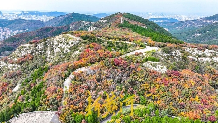 全省旅游景区强基焕新案例名单，济南这些入选