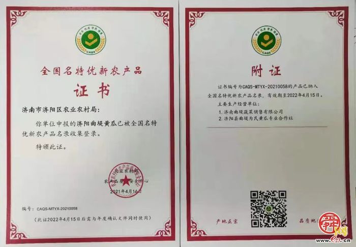 曲堤黄瓜品牌价值14.91亿元 济南农业品牌强市战略成效显著