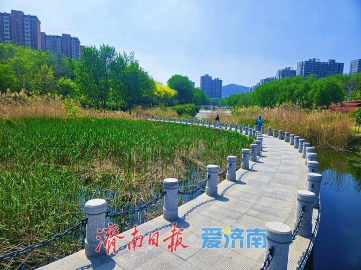 春意盎然满目新 龙鼎滨水公园尽展生态好风光