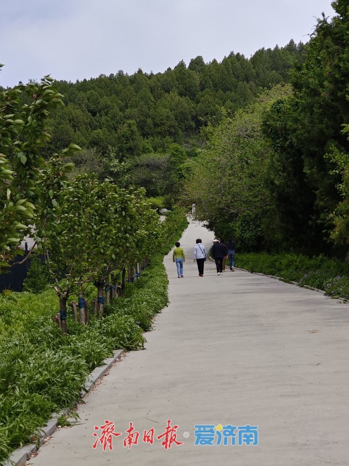 一年四季 泉在济南丨春色满园人气旺 山体公园成春游好去处