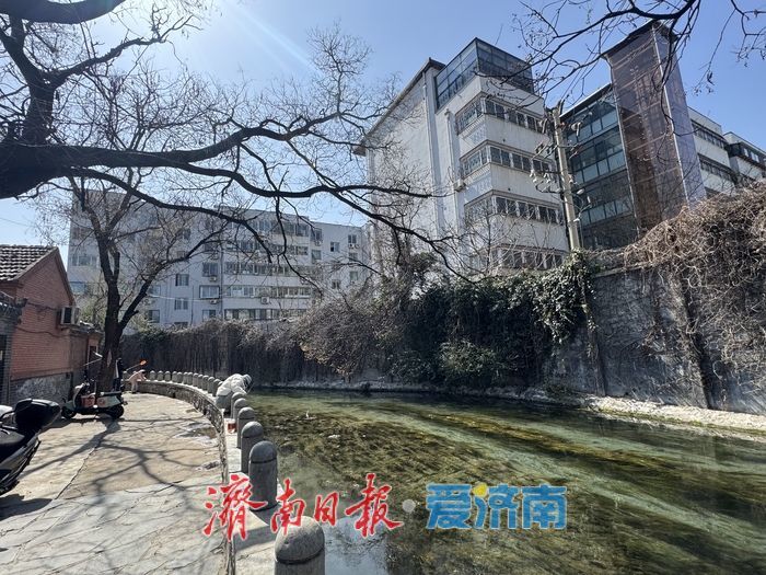 春光正好 于家桥尽享济南市井慢生活