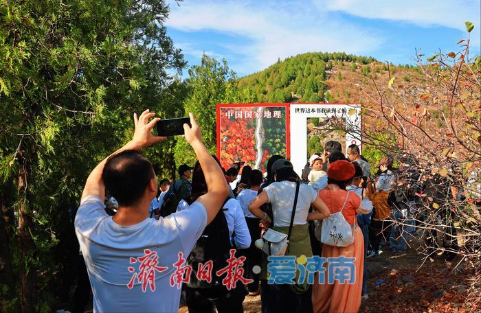 一年四季 泉在济南丨“平分秋色”胜景上线，济南蝎子山迎来“打卡热”！