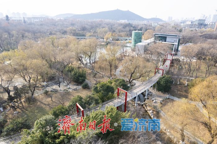 轨交直达冬日秘境，泉城公园成打卡“新宠”
