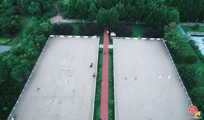 济南,缘何成为马术运动界的一匹“黑马”？