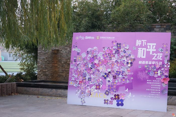 济南市历下区燕山小学开展爱国主义教育：一朵紫金草，绽放和平之花