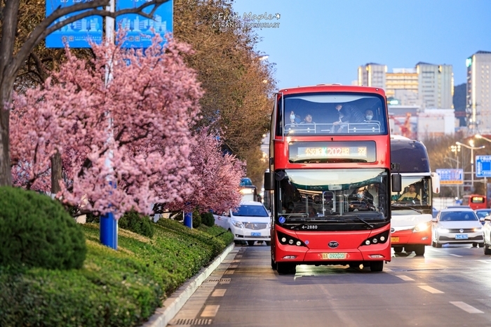 清明祭扫、踏青，这份公交出行服务指南请收好