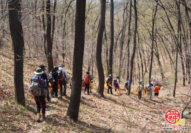 百人聚力净山野 生态守护筑青山 济南“一城山色”药乡森林公园百人净山活动圆满收官