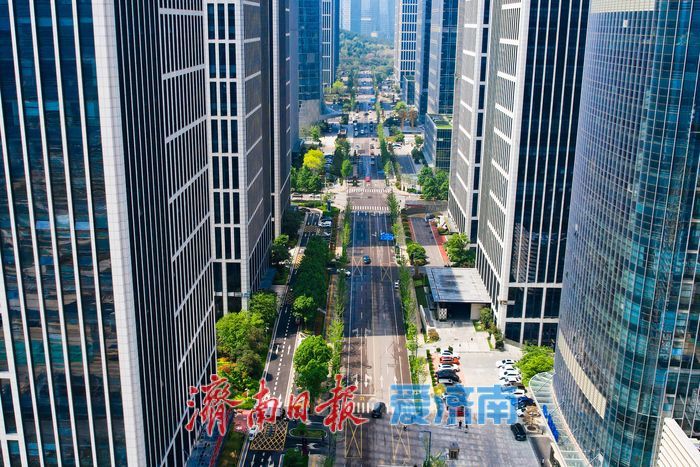 楼宇为框 春色入画