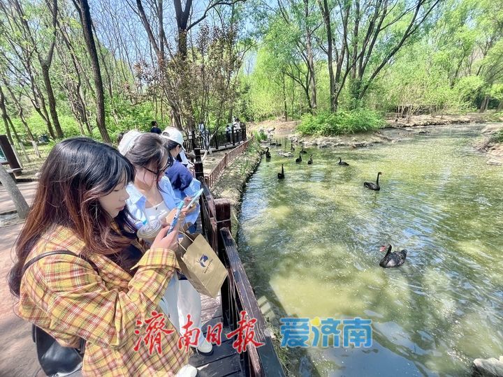 野趣盎然动物园