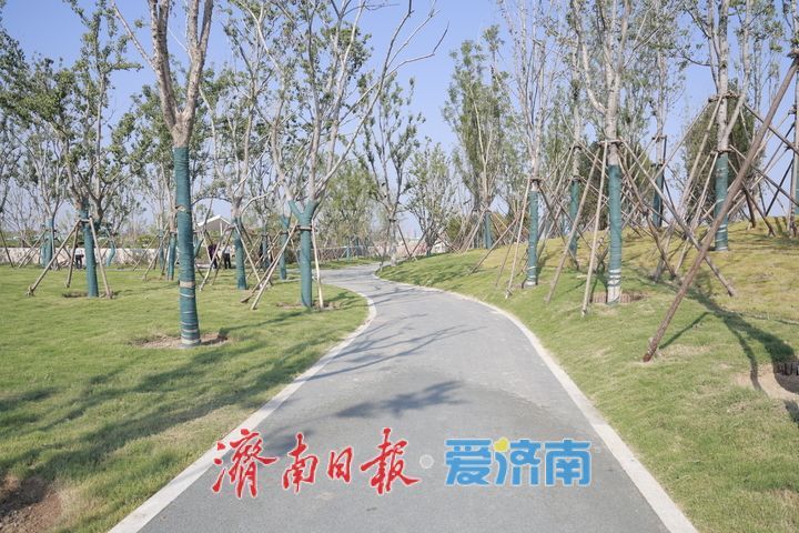 鹊山生态文化区（一期）项目加速推进