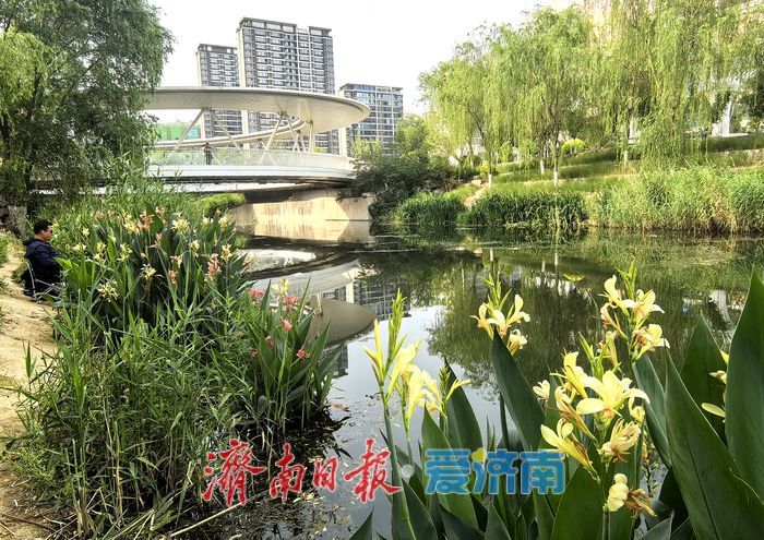 一年四季 泉在济南丨漫步、垂钓、赏景！腊山河畔邂逅初夏美好时光