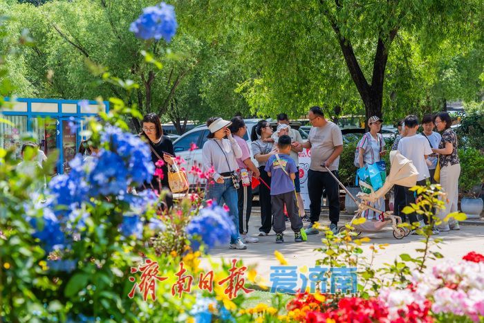 一年四季·泉在济南 