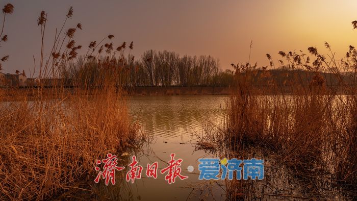 落日熔金映长河！济南腊山河日落绘就春日限定画卷