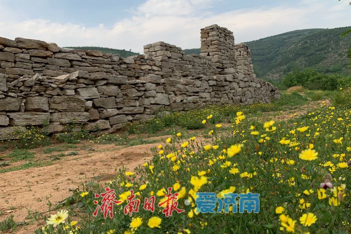 以泉城担当护长城文脉 让千年遗产焕时代新声