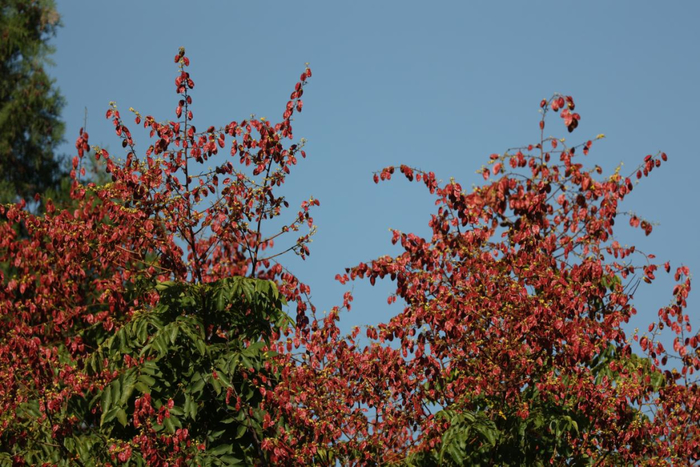 秋日限定！济南公园景区邀你共赴美好之约