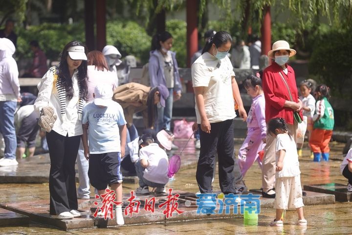 济南初夏亲水热潮：清泉石上，欢乐满溢