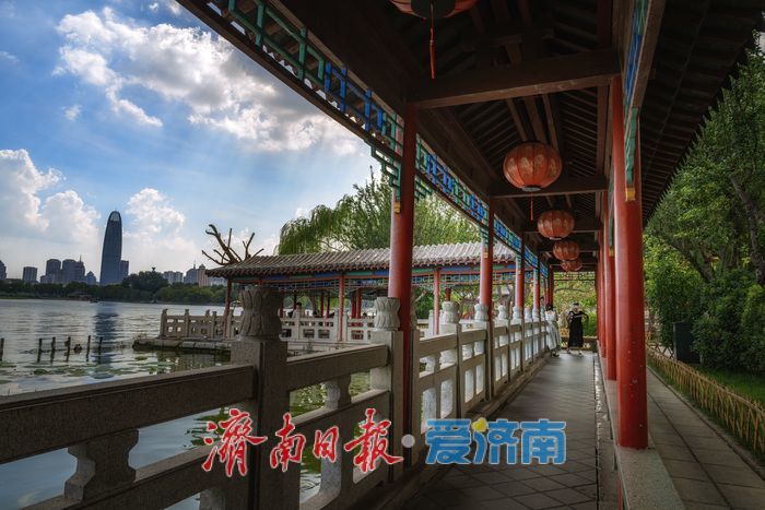 一年四季 泉在济南丨泉城消夏图鉴：大明湖成市民游客纳凉赏景“心头好”