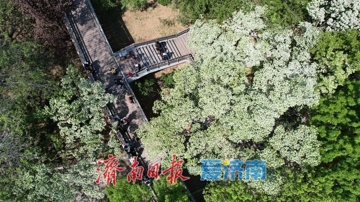 泉城公园繁花绘就 “春日经济”新盛景