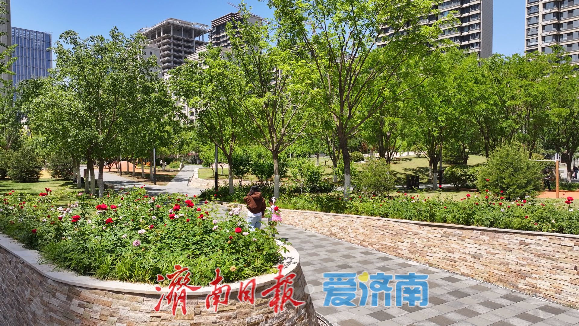 济南CBD：高楼与绿意共生，都市与自然相融