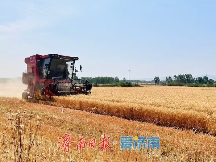 济南市麦收已超九成 “三夏”生产接近尾声