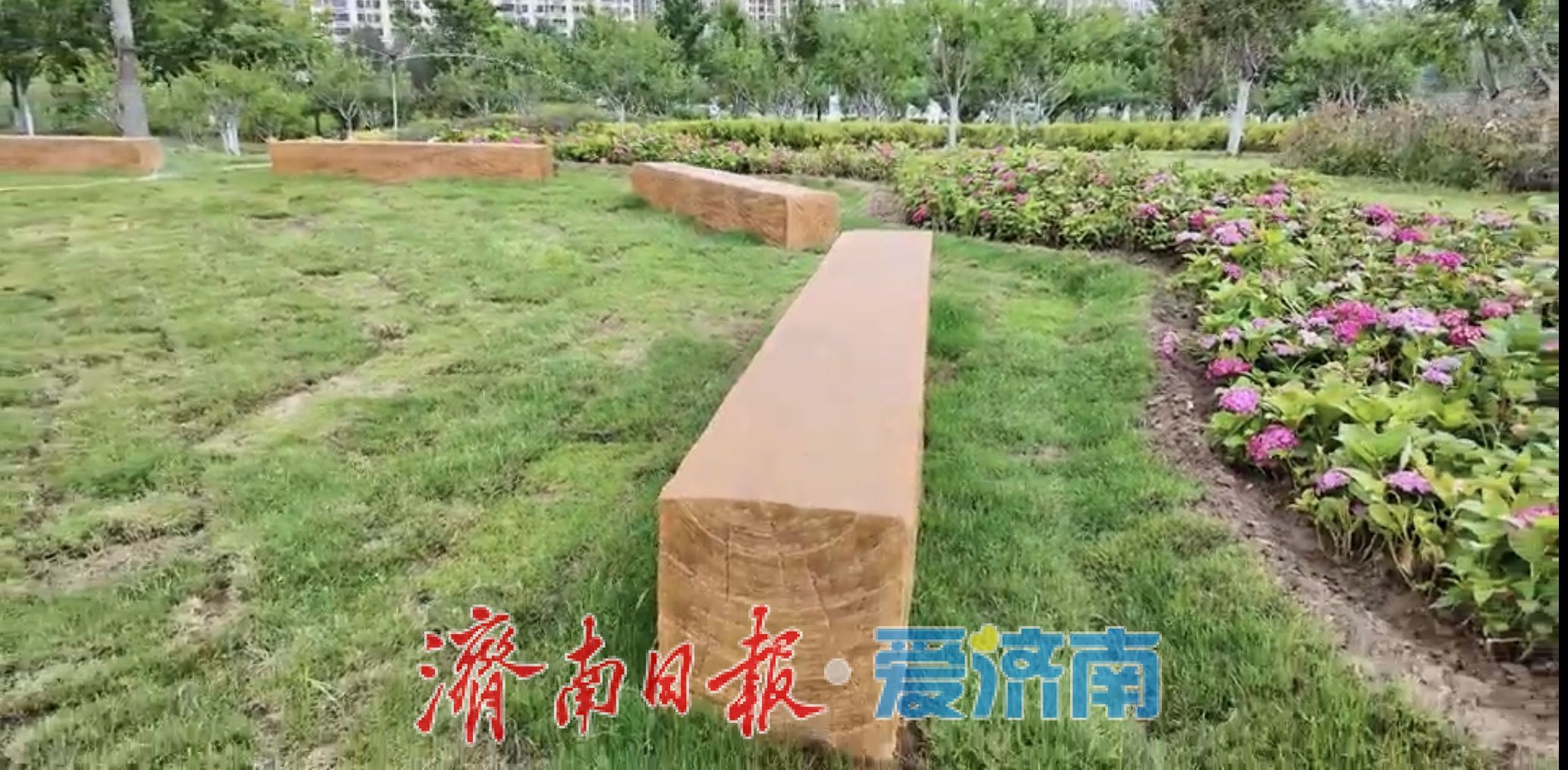 走进国际友城花园——法国雷恩花园