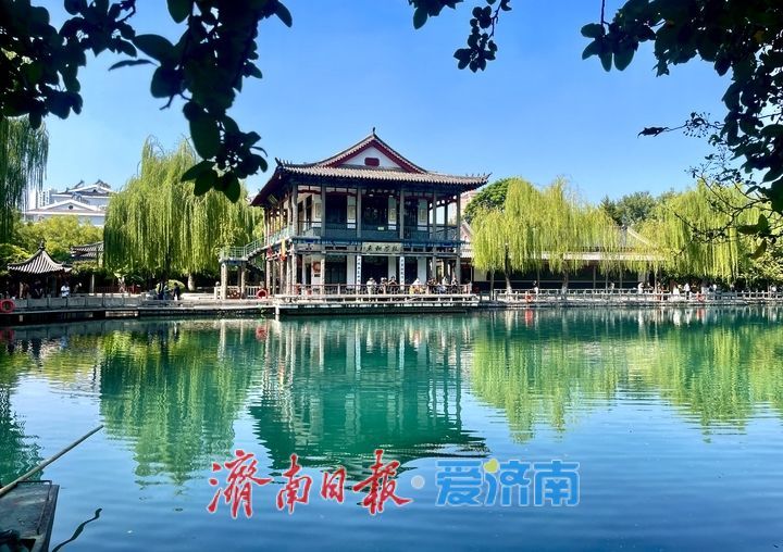 济南地下水位持续攀升，“亲泉”赏景正相宜