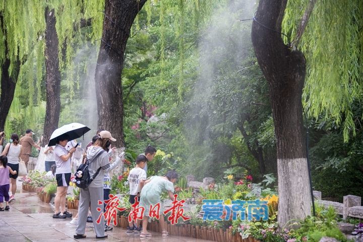 清风携水雾，景致再焕新！趵突泉解锁夏日泉水纳凉新体验