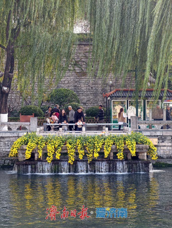 一年四季 泉在济南丨玛瑙泉“瀑布流金”引客来