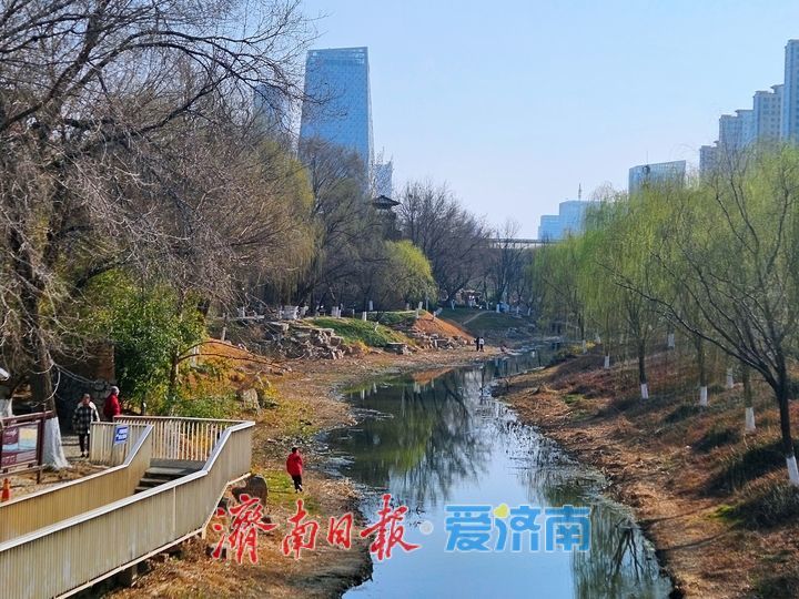 一年四季 泉在济南丨初春绽新颜 腊山河公园春意渐浓