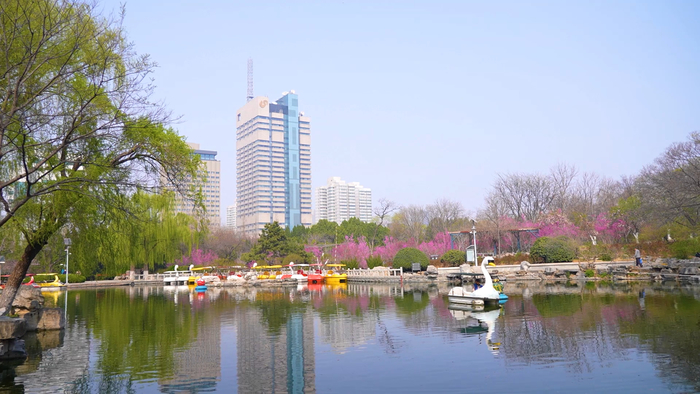 赏花、看柳、寻泉……提前预习济南的春天
