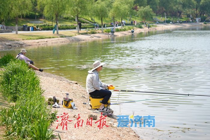 一年四季 泉在济南丨孟家水库生态美 垂钓休闲引客来