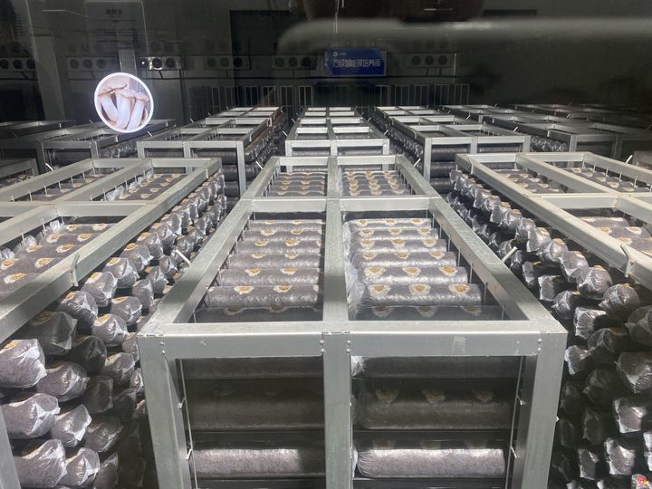 “云话山东”走进青岛 