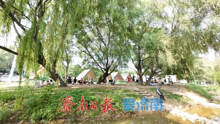 一年四季 泉在济南丨玉符河畔觅清凉：宅科村段成市民消夏野趣乐园