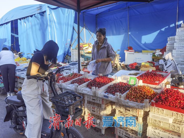 “果盘子”上新啦！济南樱桃集中上市，价格亲民美味诱人