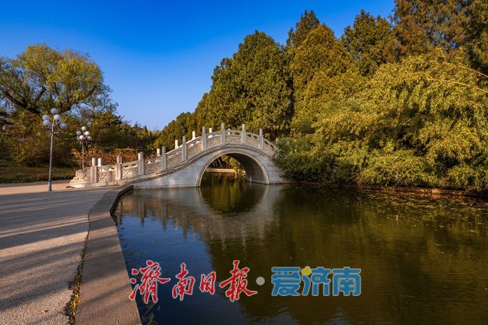 济南降温迎清透蓝天 南郊宾馆公园冬日景致美如画