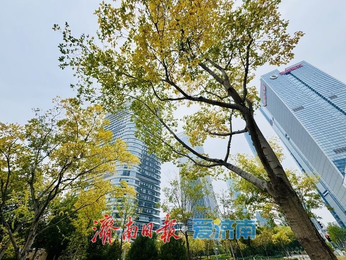 秋染绸带公园 城市绿廊绘就秋日画卷