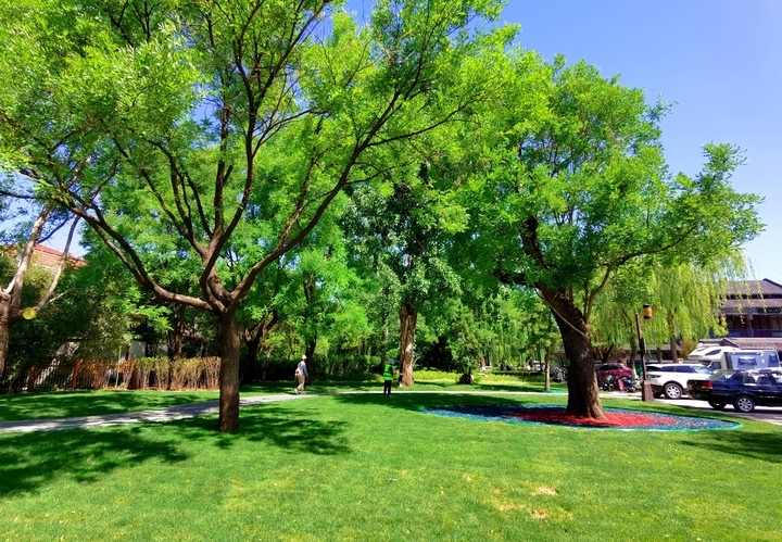 观景入画，济南大明湖南岸绿道改造再添新景