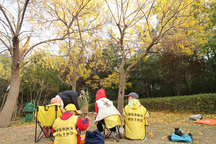 入眼皆是画，打卡“醉”美秋色