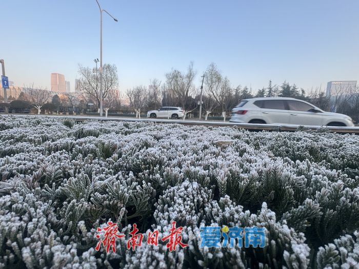 霜雪染泉城 济南冬日添雅致