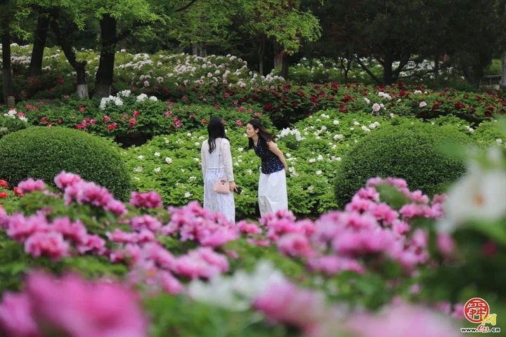 一年四季 泉在济南｜