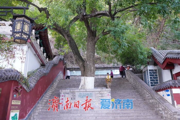 登历山极顶 览泉城新卷 千佛山城市观景平台全新亮相