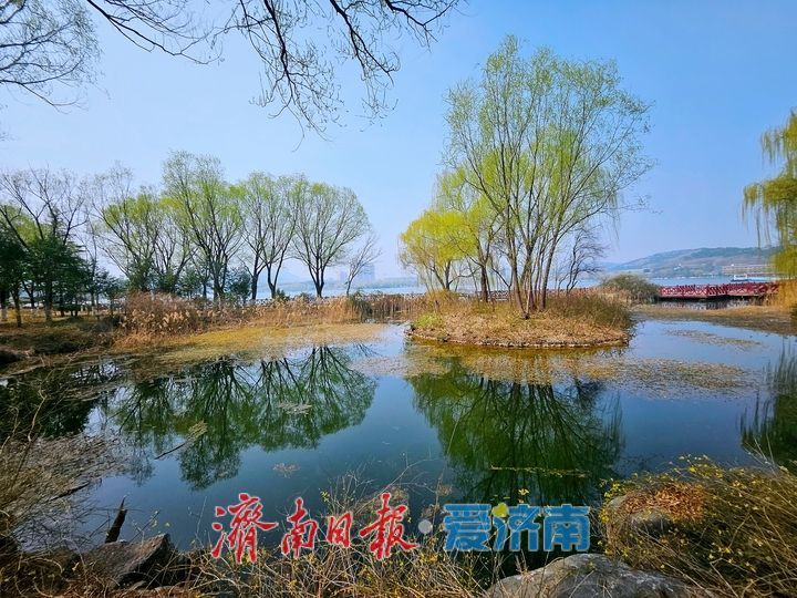 一年四季 泉在济南丨春水映花柳色新 济南园博园迎来踏青赏花好时节