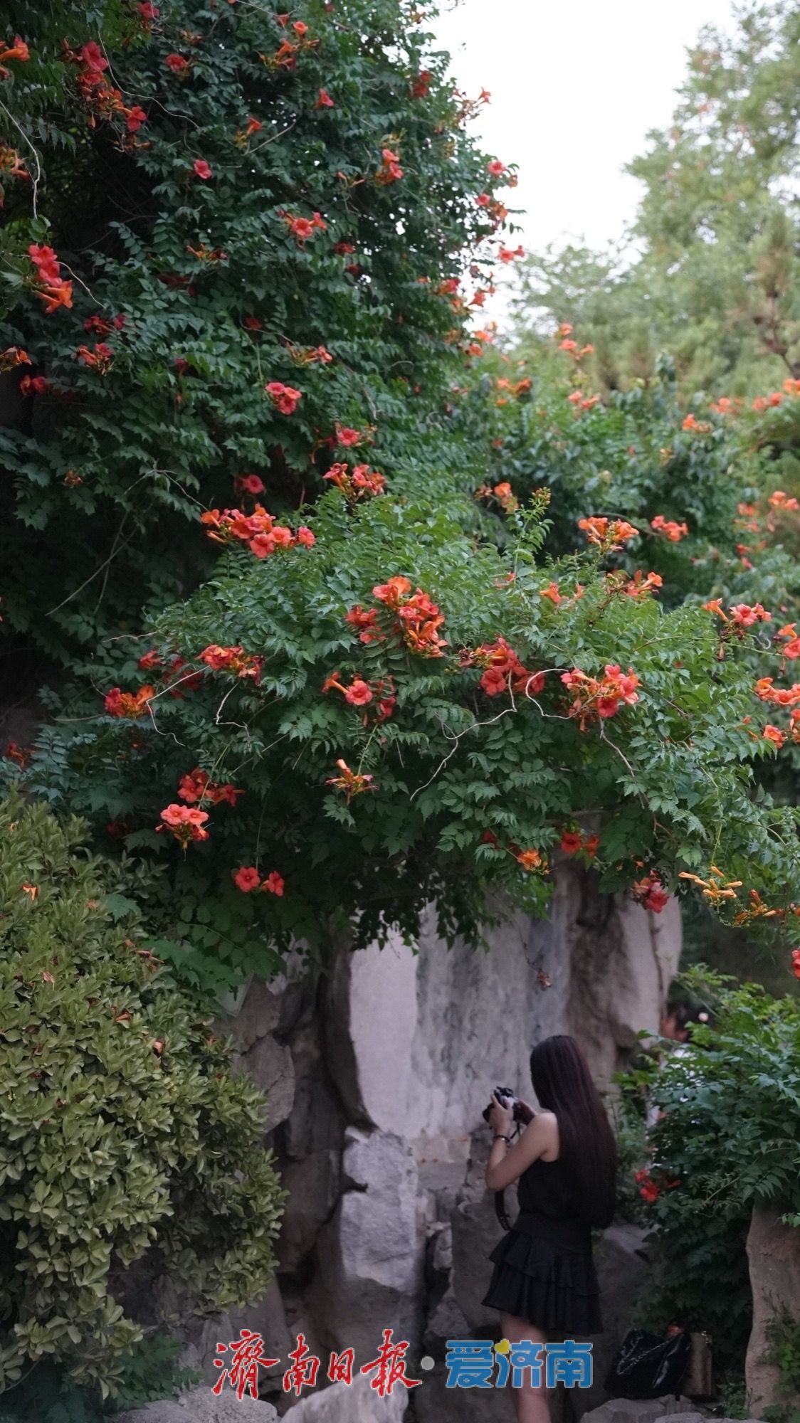 一年四季 泉在济南 