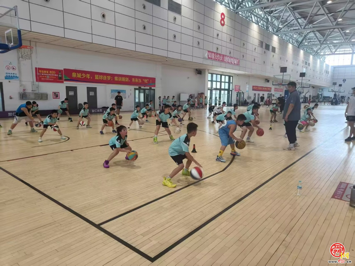 2025年济南市青少年篮排球后备人才 集训营火热开营 240名篮排球“苗子”将接受专业化培育