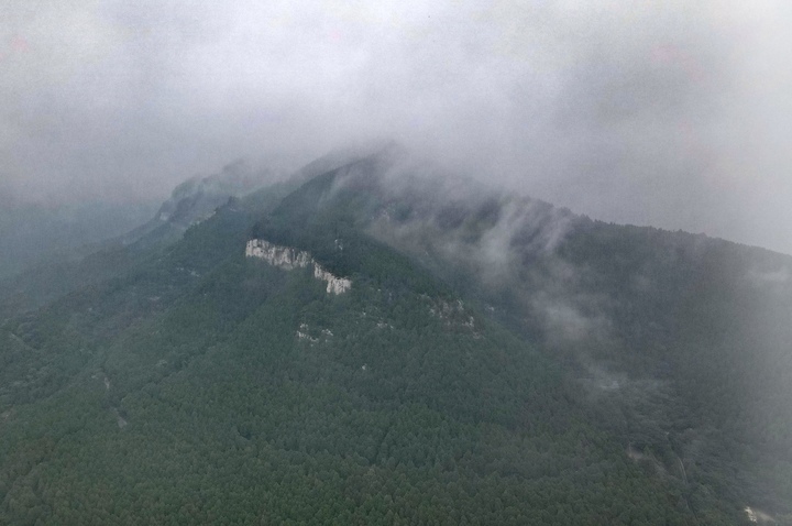 秋雾漫漫似丹青