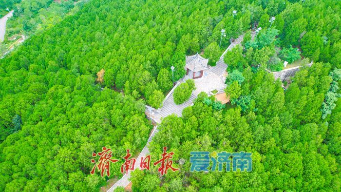 一年四季 泉在济南丨济南万灵山公园：城市中的生态休闲新地标​