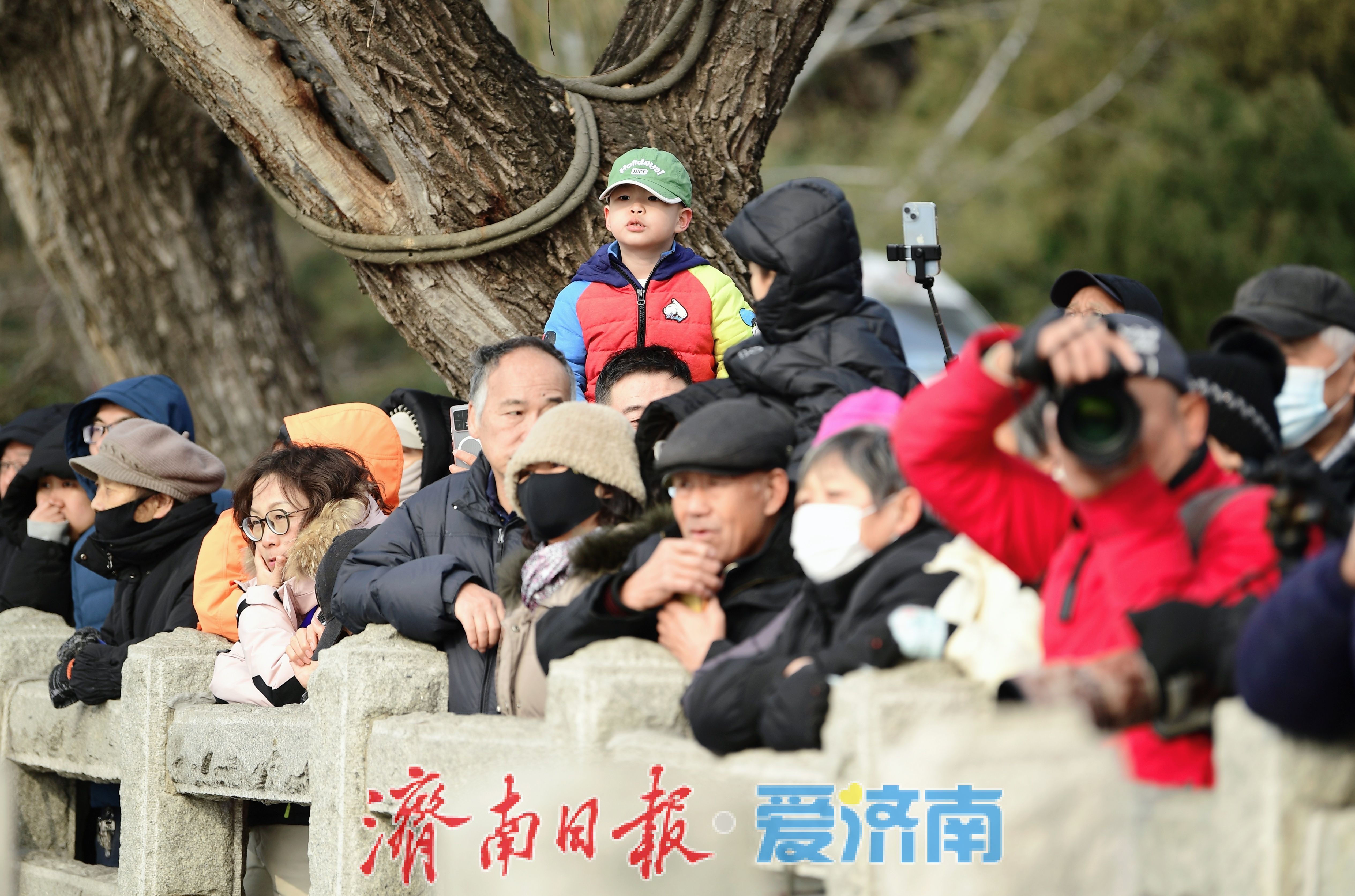 千名冬泳爱好者竞逐大明湖 第十三届中国济南冬季畅游泉水国际公开赛启幕