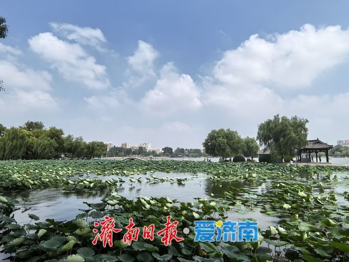 今日立秋，济南“炙烤”模式持续，新一轮降雨已在路上